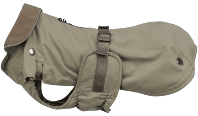 Trixie Hermy 2 in 1 Dachshund koiran takki, 43 cm, Olive Green