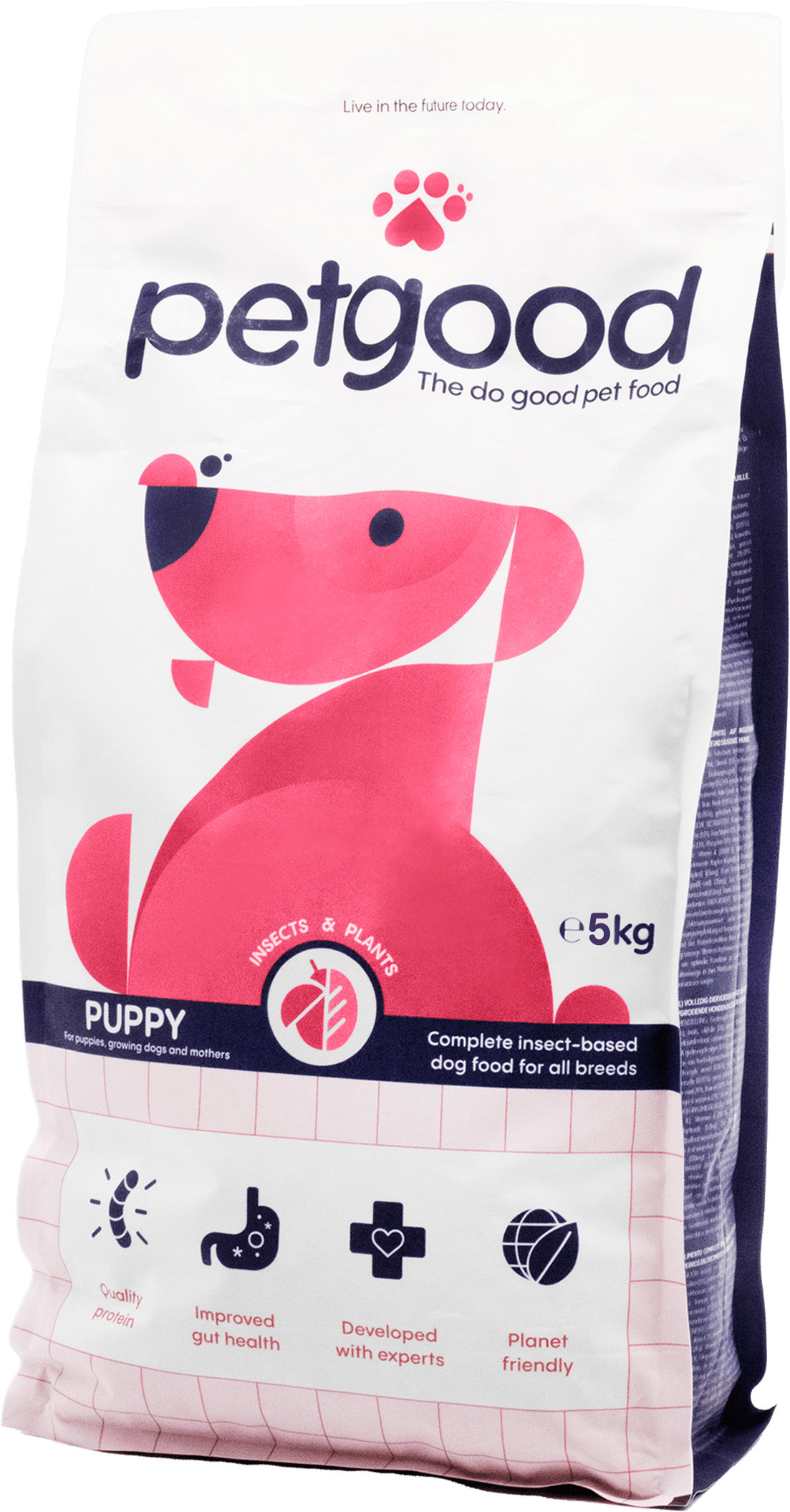 Petgood hyönteispohjainen ruoka kasvaville koirille, 5 kg
