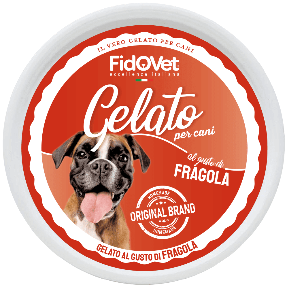 Fidovet koirien jäätelö Gelato mansikka 40g