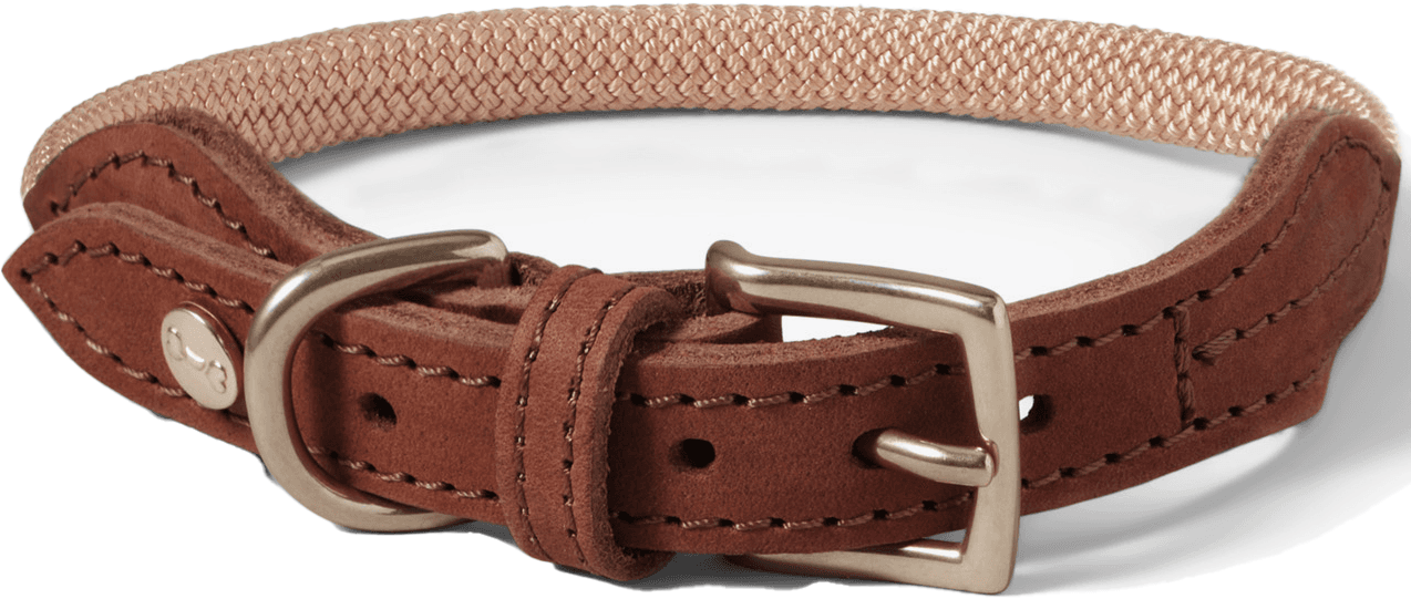 Denjo Dogs Torekov kaulapanta, Golden Sand M-XL