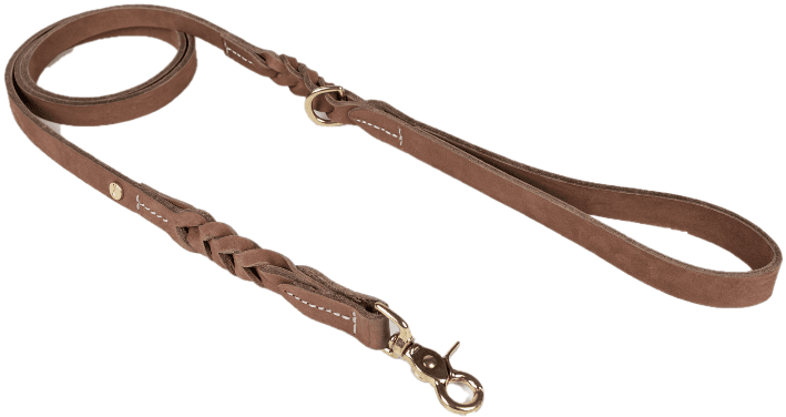 Denjo Dogs Stockholm City-talutushihna 155 cm Hazel S