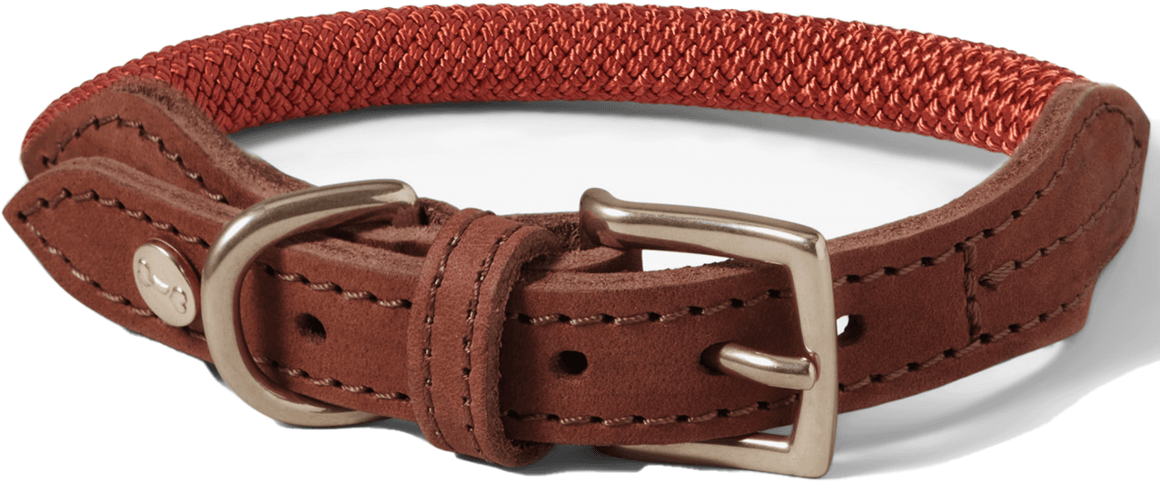 Denjo Dogs Torekov kaulapanta XS - S, Rusty Bronze