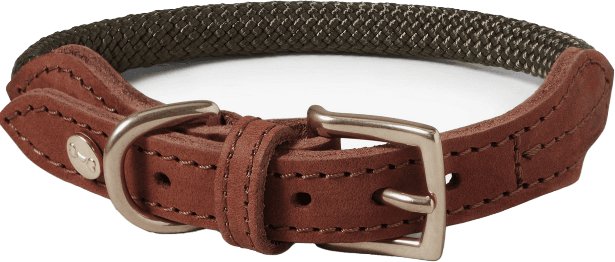 Denjo Dogs Torekov kaulapanta, M - XL, Shimmer Green