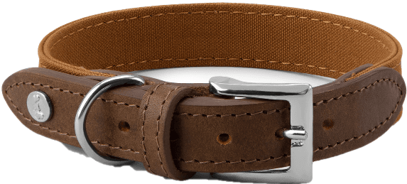 Denjo Dogs Signature kaulapanta, XS-S, Brown/Mustard