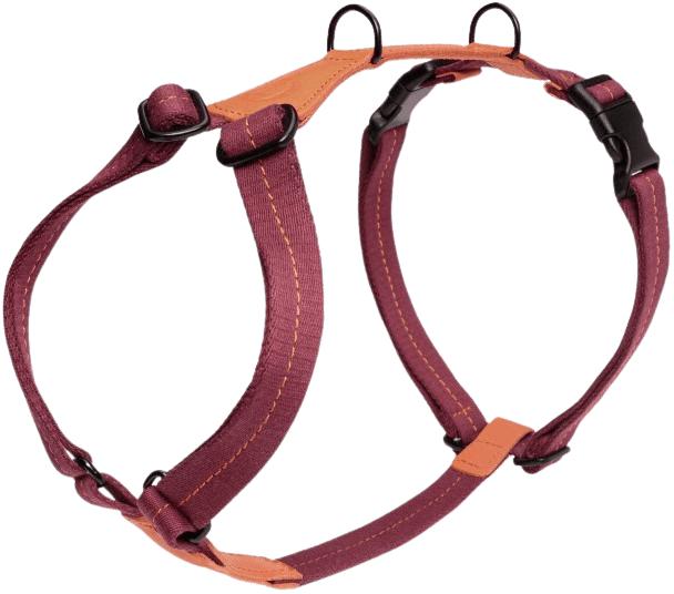 Cloud7 Harness Madeira valjaat, M-L, Papaya
