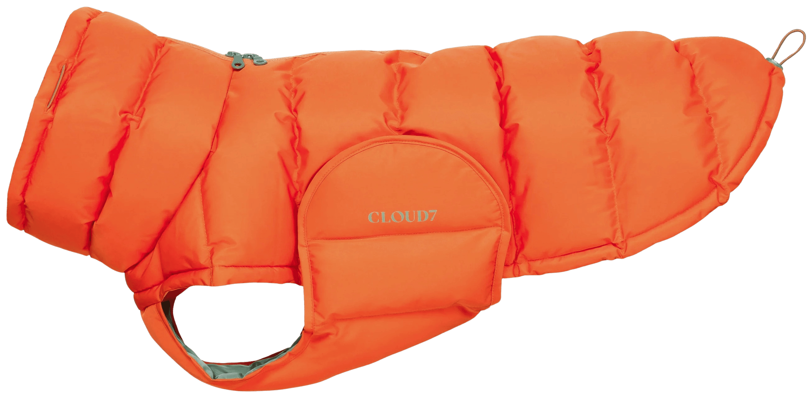 Cloud7 Dog Coat koirantakki, 6-9, Poltettu oranssi (Burnt Orange)