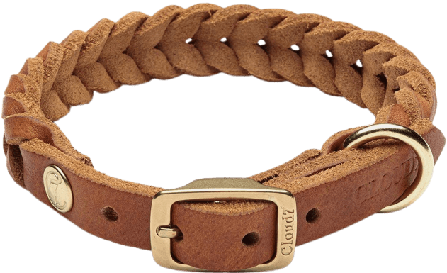 Cloud7 Collar Central Park nahkapanta, L-XXL, vaaleanruskea