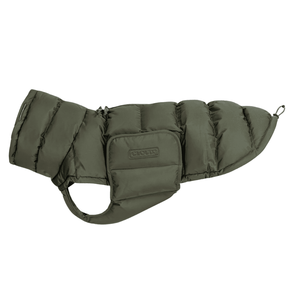 Cloud7 Winter Coat size 3-5 Vaalea oliivinvihreä