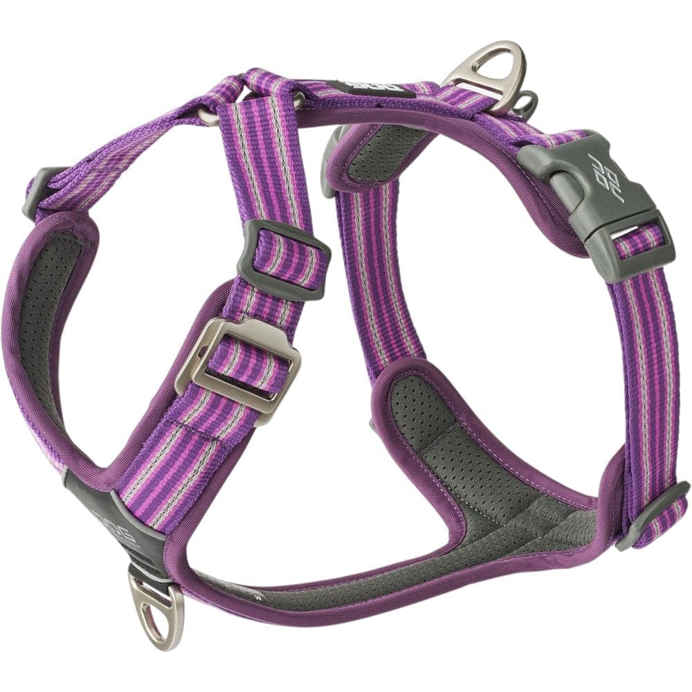 DOG Copenhagen Comfort Walk Air Harness L Purple Passion