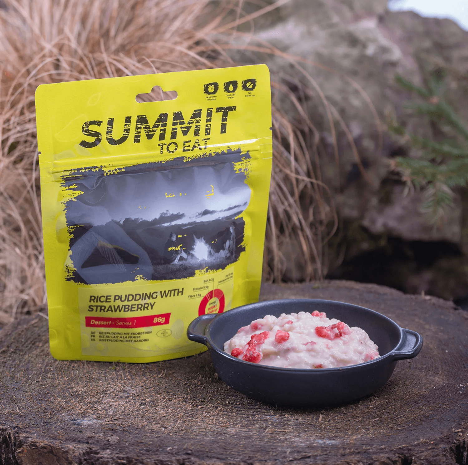Summit To Eat Rice Pudding With Strawberry retkiruoka