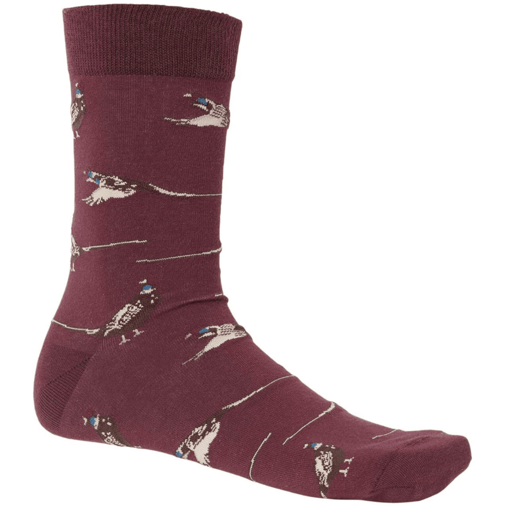 Chevalier Pomeroy Socks Fox Red Pheasant