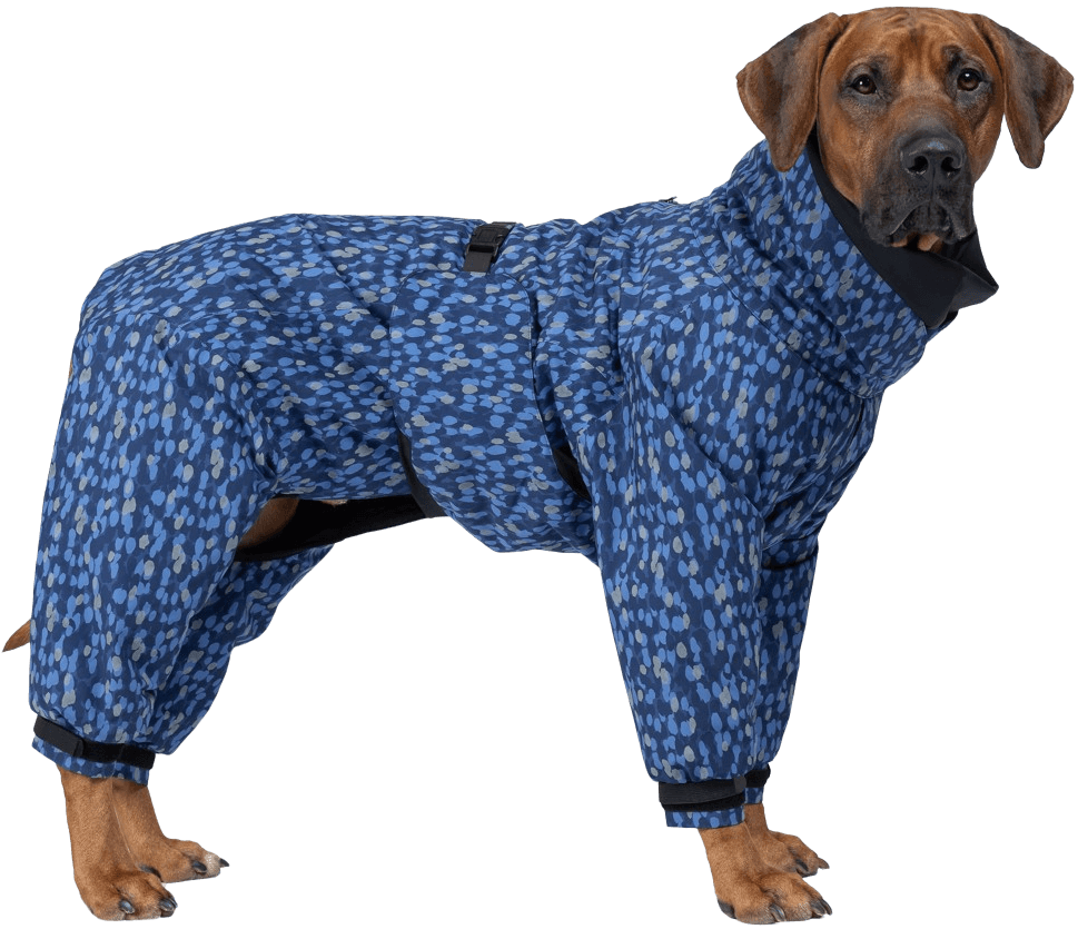 PAIKKA Winter Suit koiran takki, Sininen
