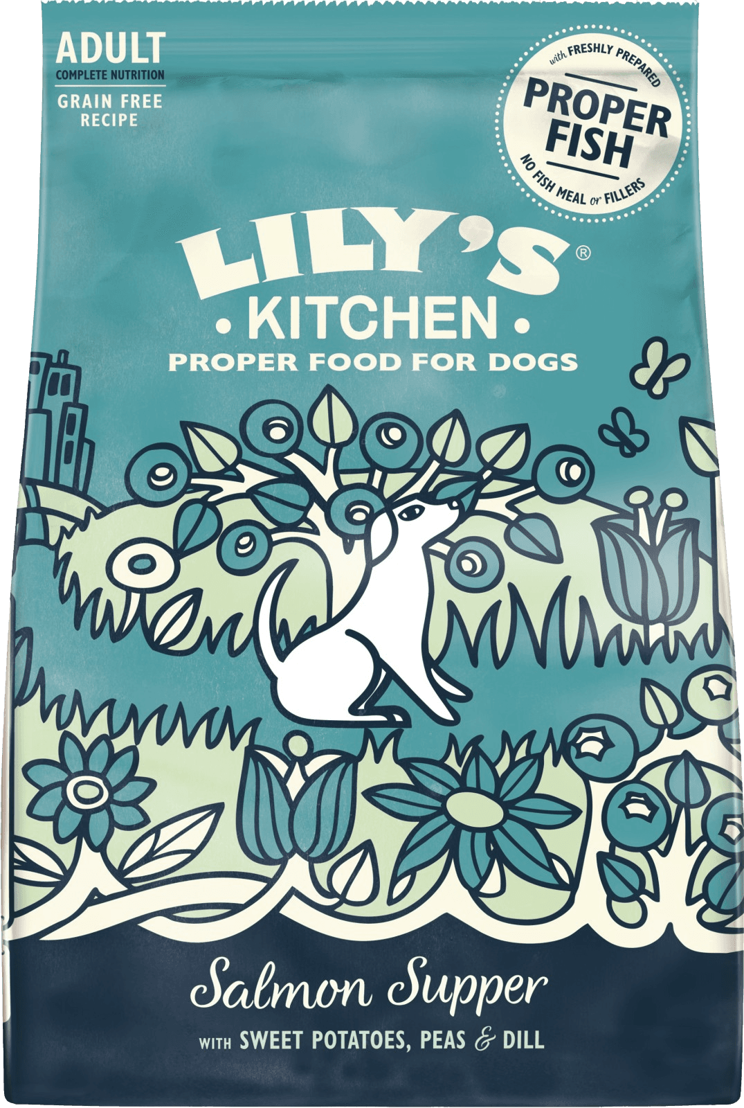 Lily's Kitchen Salmon Supper kuivaruoka, 1 kg
