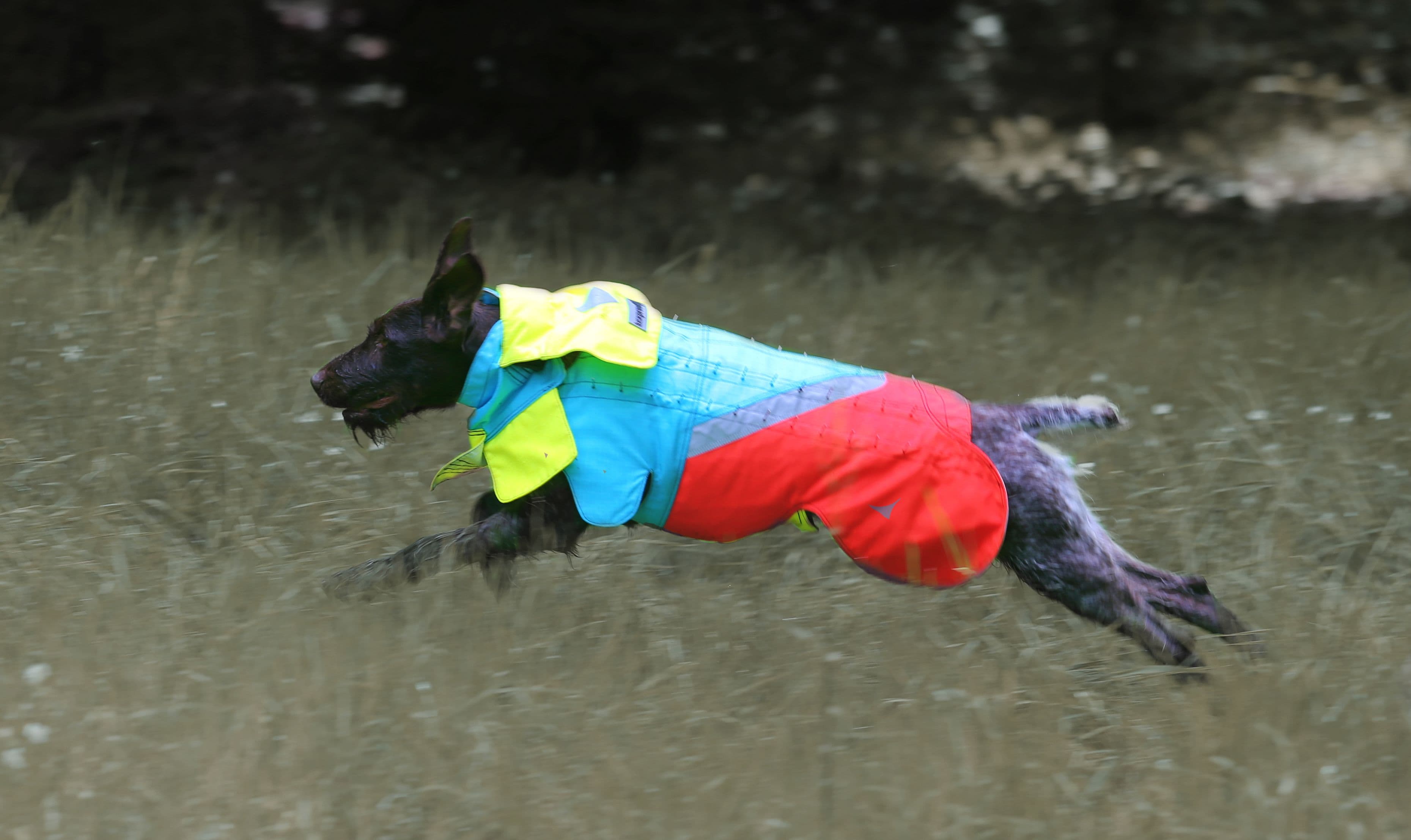 Mikael Tham Tuskproof Wolf v.5 suojaliivi, XL, sininen