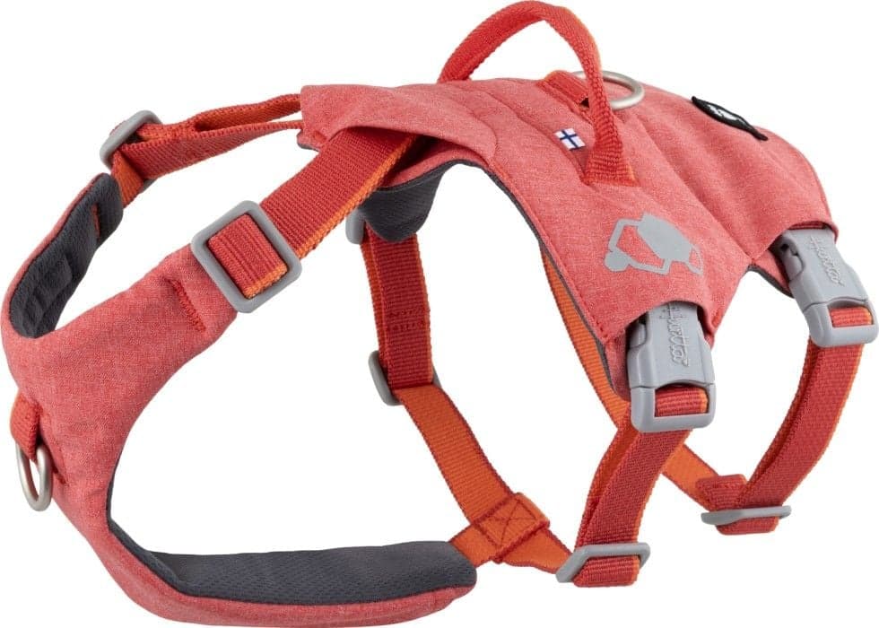Hurtta Safeguard ECO Sele valjaat, 40-60cm, Strawberry