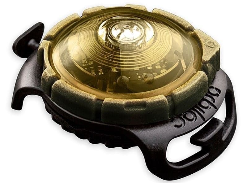 Orbiloc Gold Dual
