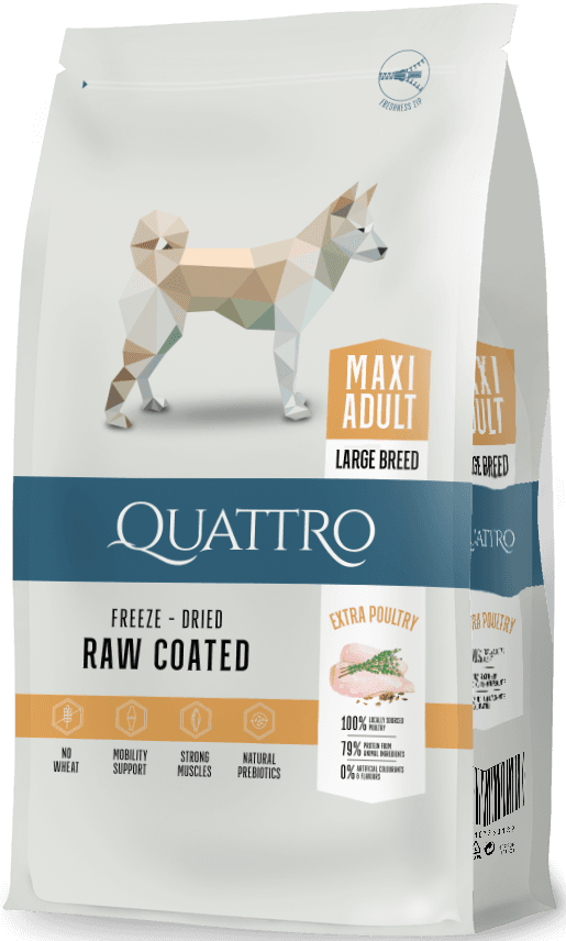 Quattro Maxi Adult with Poultry kuivaruoka, 12 kg