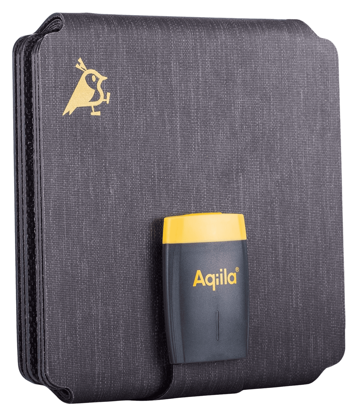 Aqiila Sunbird P21