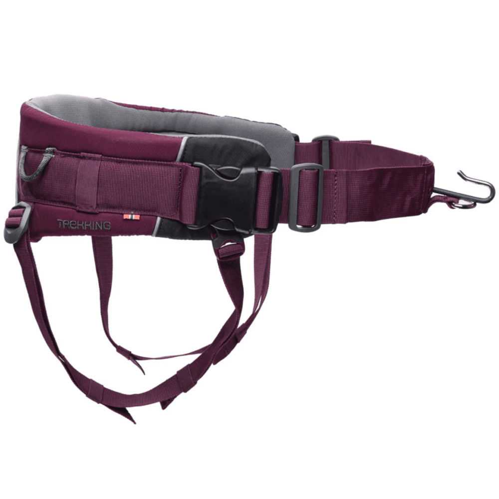 Non-stop dogwear Trekking Belt 2.0 Violetti